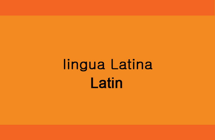 To Speak Latin 48