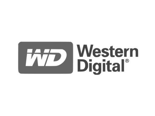 Corporate Language Classes for Western Digital