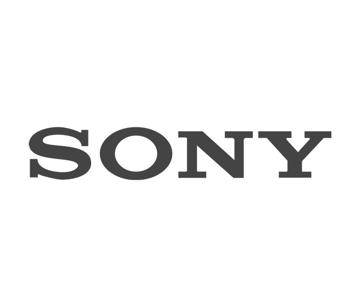 Corporate Language Classes for Sony