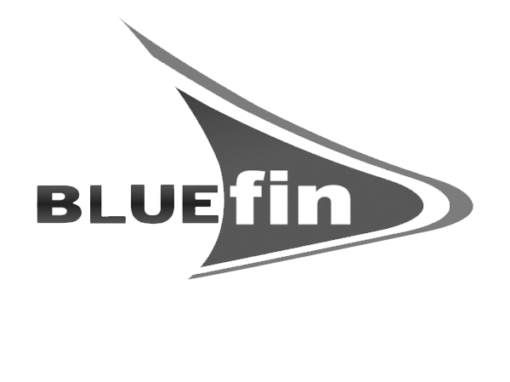 Corporate Language Classes for Bluefin